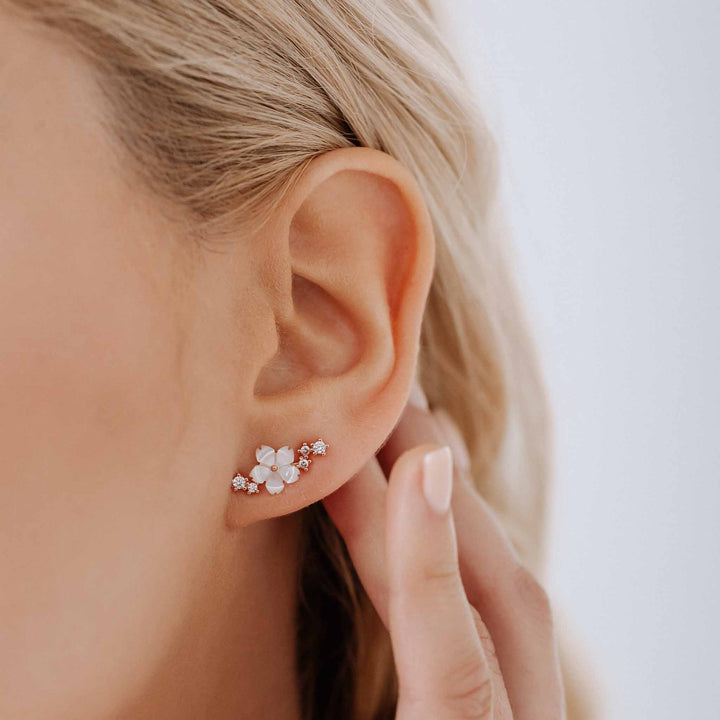 Ensemble Lettre & Sparkle